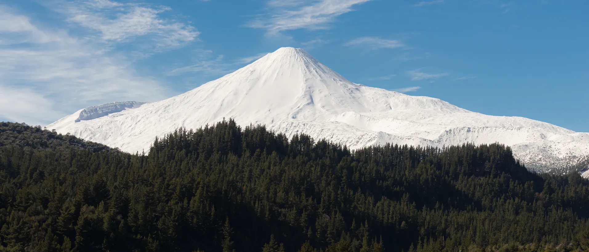 Antuco