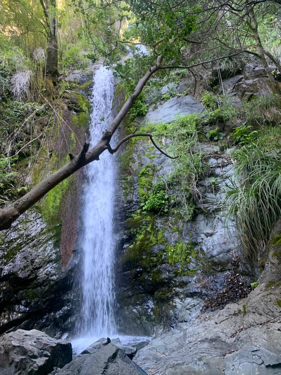 CASCADAS EL MENTROL